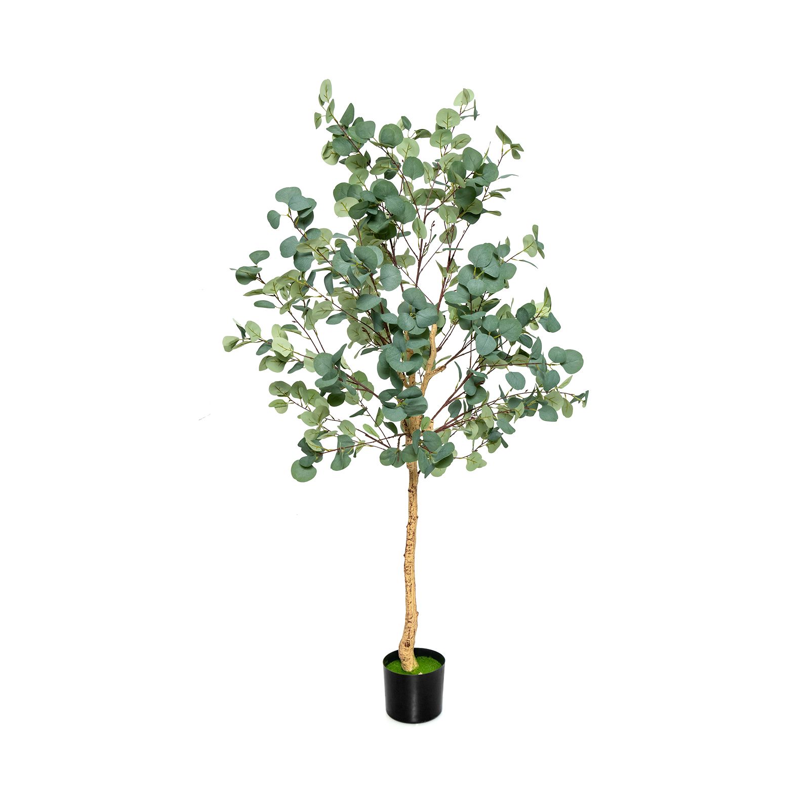 1.65m Artificial Eucalyptus Tree with Silver Dollar Leaves